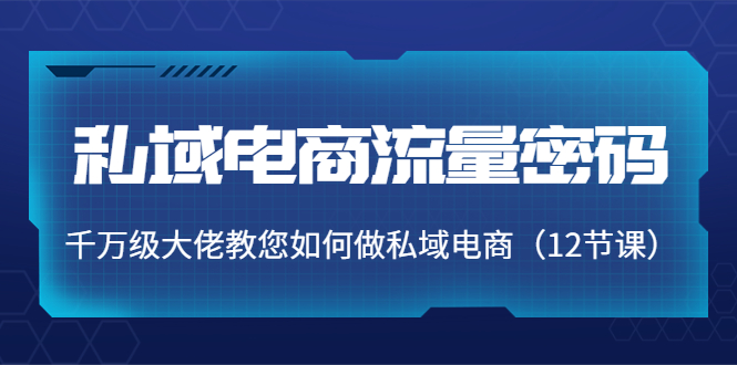 私域电商流量密码：千万级大佬教您如何做私域电商（12节课）-副业库