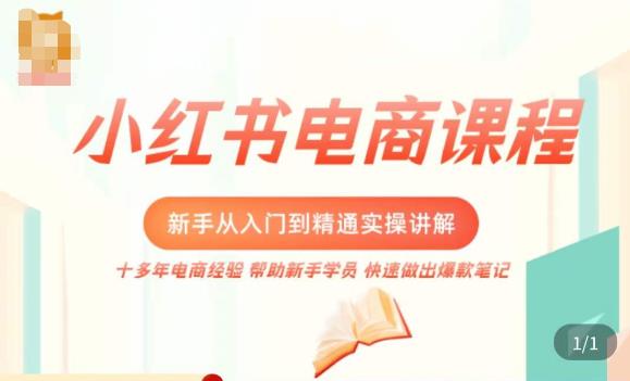 小红书电商新手入门到精通实操课，从入门到精通做爆款笔记，开店运营-副业库