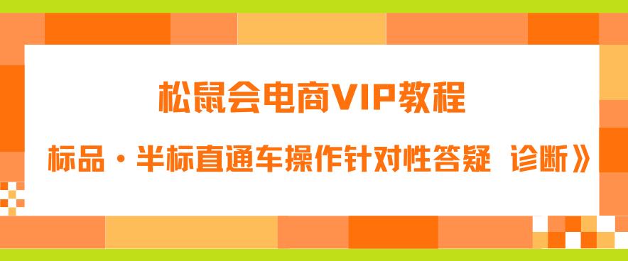 松鼠会电商VIP教程：松鼠《付费推广标品·半标直通车操作针对性答疑&诊断》-副业库