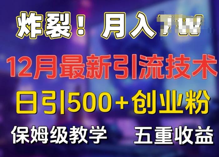 炸裂!揭秘12月最新日引流500+精准创业粉，多重收益保姆级教学-副业库