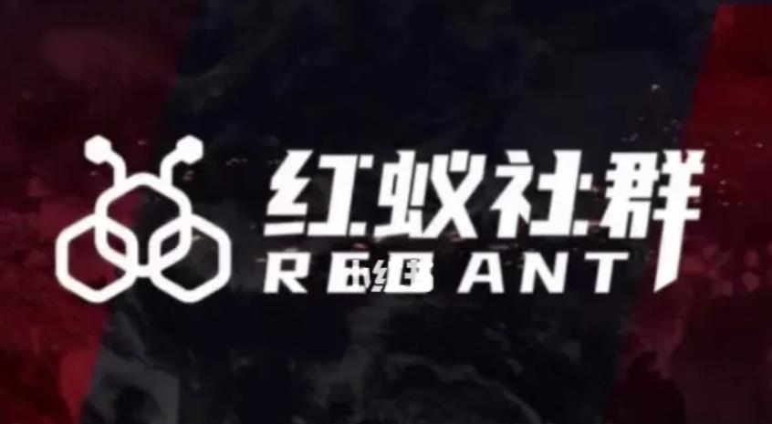社群运营：红蚁社群【48节落地系统课程+2000人高端社群】-副业库