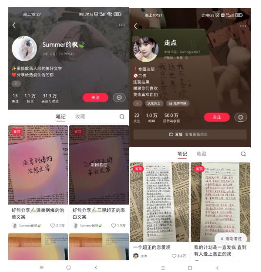 图片[3]-AI批量制造小红书爆款笔记+小红书无货源，玩法一条龙实操，小白也能轻松日入500+【揭秘】-副业库
