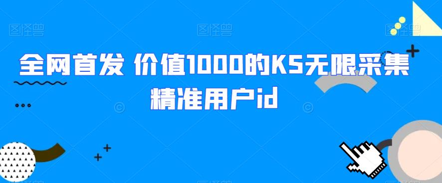 全网首发 价值1000的KS无限采集精准用户id-副业库