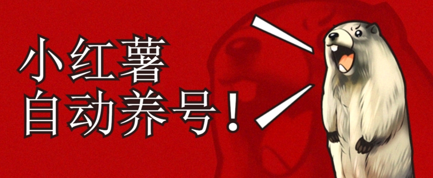 小红书养号秘籍，如何自动涨粉清晰系统标签打造高权重账号【揭秘】-副业库