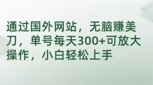 通过国外网站，无脑赚美刀，单号每天300+可放大操作，小白轻松上手【揭秘】-副业库