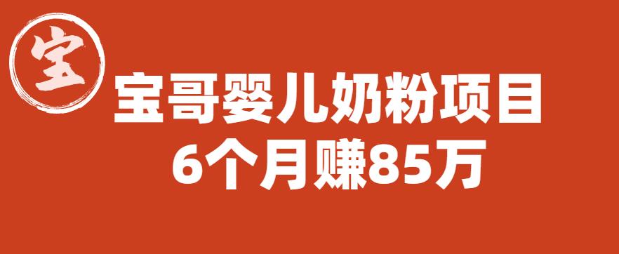 宝哥婴儿奶粉项目，6个月赚85w【图文非视频】【揭秘】-副业库