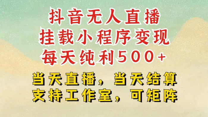 抖音无人挂机项目，轻松日入500+,挂载小程序玩法，不违规不封号，有号的一定挂起来-副业库