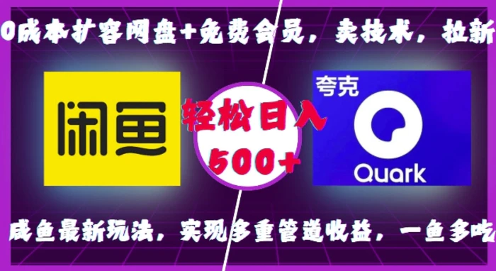 0成本扩容网盘+免费会员，卖技术，拉新，咸鱼最新玩法，实现多重管道收益，一鱼多吃，轻松日入500+-副业库