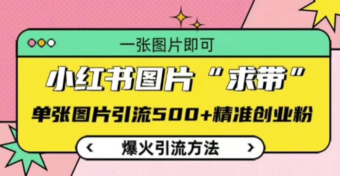 小红书图片‘求带’爆火引流法，单张图片引流500+精准创业粉【揭秘】-副业库