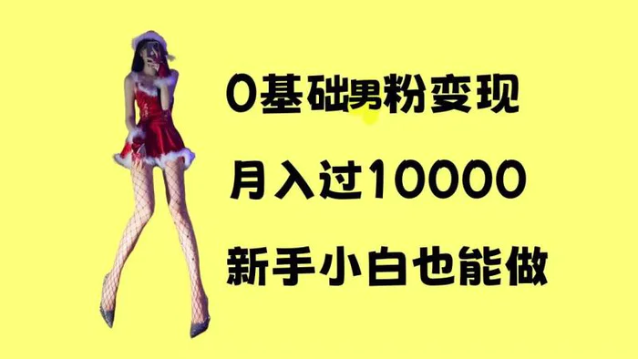 0基础男粉s粉变现，月入过1w+，操作简单，新手小白也能做【揭秘】-副业库