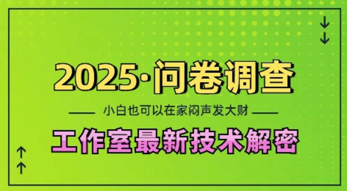 2025问卷调查最新工作室技术解密：一个人在家也可以闷声发大财，小白一天2张，可矩阵放大-副业库