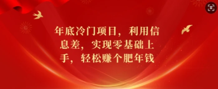 年底冷门项目，利用信息差，实现零基础上手，轻松赚个肥年钱【揭秘】-副业库