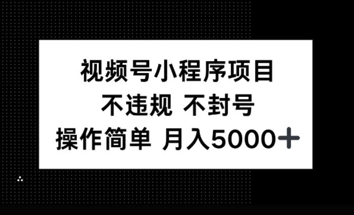 视频号小程序项目，不违规不封号，操作简单 月入5000+-副业库