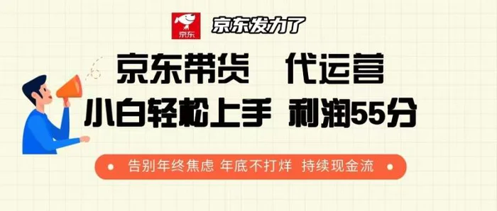 （13833期）京东带货 代运营 利润55分 告别年终焦虑 年底不打烊 持续现金流-副业库