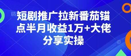 短剧推广拉新番茄锚点半月收益1万+大佬分享实操-副业库