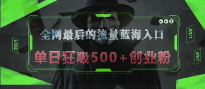 全网最后的流量蓝海入口，半小时引流50+创业粉，单日狂吸500+创业粉-副业库