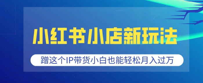 小红书小店新玩法，蹭这个IP带货，小白也能轻松月入过W【揭秘】-副业库