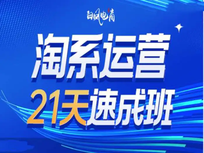 淘系运营21天速成班35期，年前最后一波和2025方向-副业库
