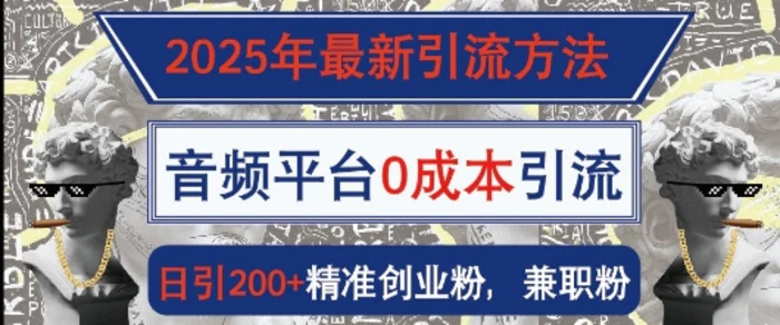 2025年最新引流方法，音频平台0成本引流，日引200+精准创业粉-副业库