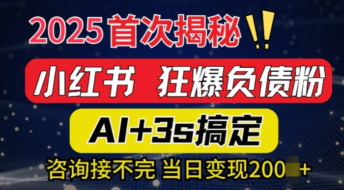2025引流天花板：最新小红书狂暴负债粉思路，咨询接不断，当日入多张-副业库