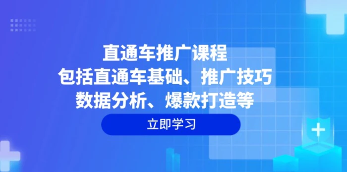 （14001期）直通车推广课程：包括直通车基础、推广技巧、数据分析、爆款打造等-副业库