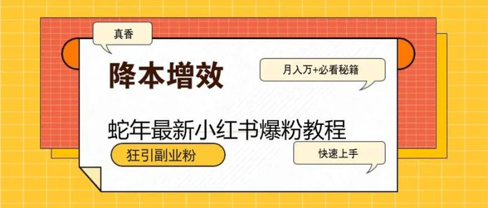 蛇年最新小红书爆粉教程，狂引副业粉，月入万+必看-副业库