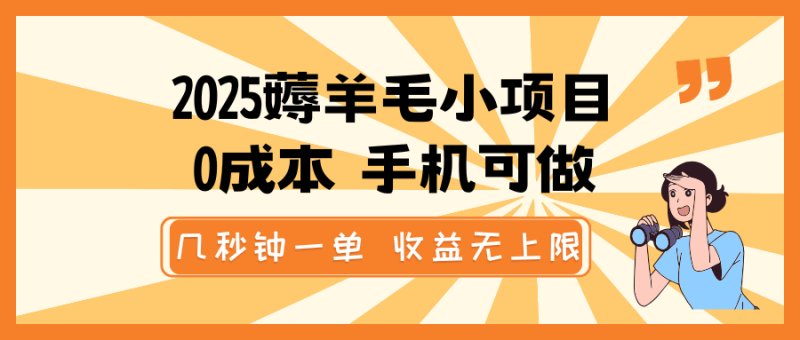 2025薅羊毛小项目，0成本 手机可做，几秒钟一单，收益无上限-副业库