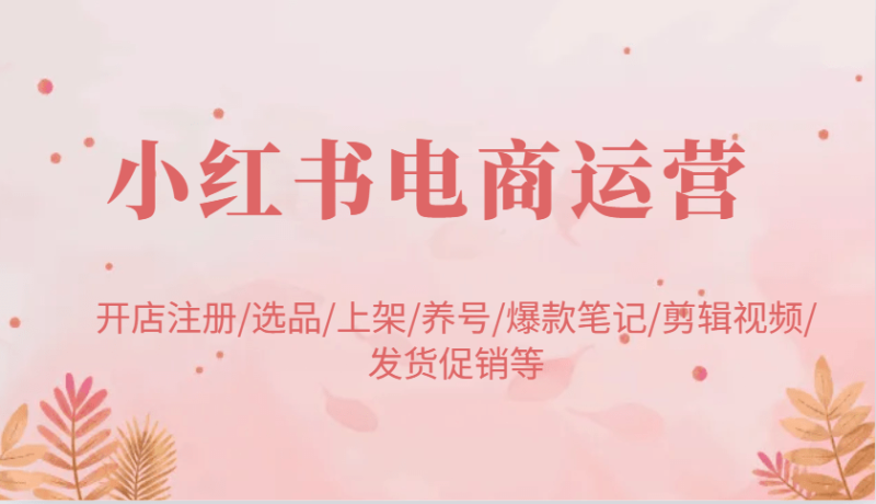 小红书电商运营：开店注册/选品/上架/养号/爆款笔记/剪辑视频/发货促销等-副业库