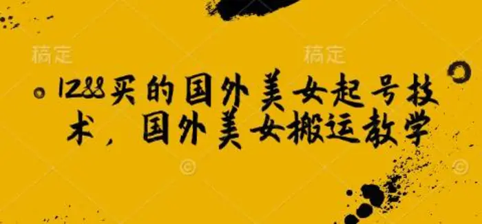 1288买的国外美女起号技术，国外美女搬运教学-副业库