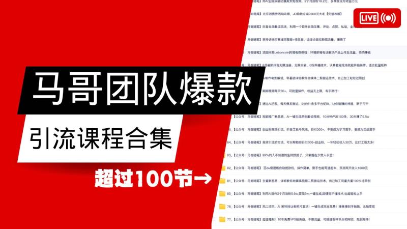 马哥团队【122节】最全项目爆款引流课程合集【持续更新】-副业库