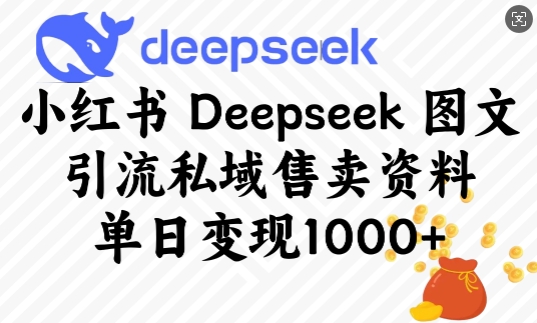 小红书Deepseek图文引流私域售卖资料，单日变现多张-副业库