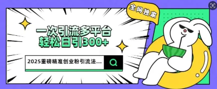 2025重磅全网独家引流法，一次多平台，轻松日引300+精准创业粉-副业库