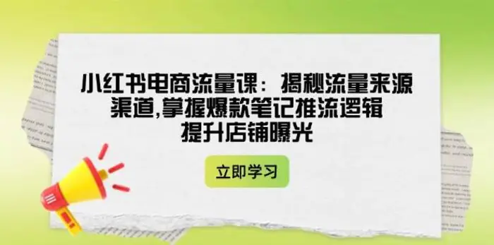 小红书电商流量课：揭秘流量来源渠道,掌握爆款笔记推流逻辑,提升店铺曝光-副业库