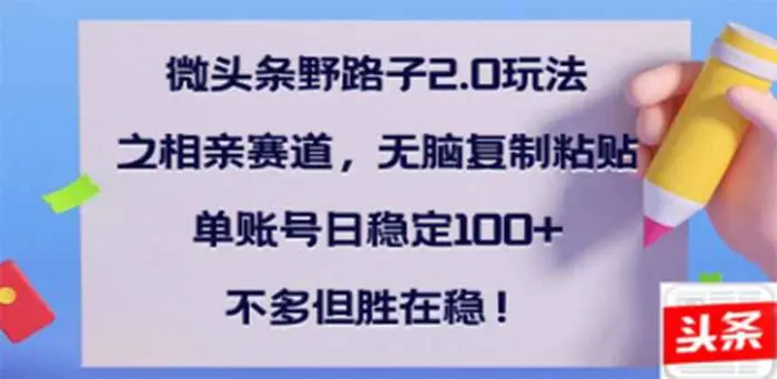 （14334期）微头条野路子2.0玩法之相亲赛道，无脑搬砖复制粘贴，单账号日稳定300+…-副业库