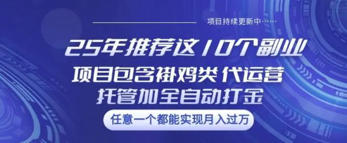 25年推荐这10个副业项目包含褂鸡类、代运营托管类、全自动打金类-副业库