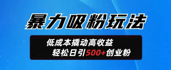暴力吸粉玩法，日引500+精准创业粉，日变现轻松多张-副业库