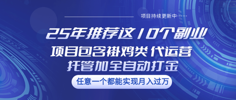 25年推荐这10个副业 项目包含褂鸡类、代运营托管类、全自动打金类-副业库