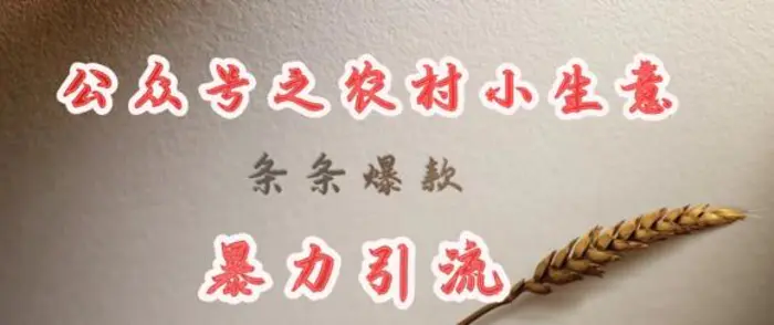 deepseek写农村小项目，条条爆款，暴力引流-副业库