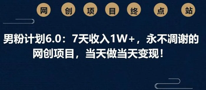 男粉计划6.0：7天收入1W+，永不凋谢的网创项目，当天做当天变现！-副业库
