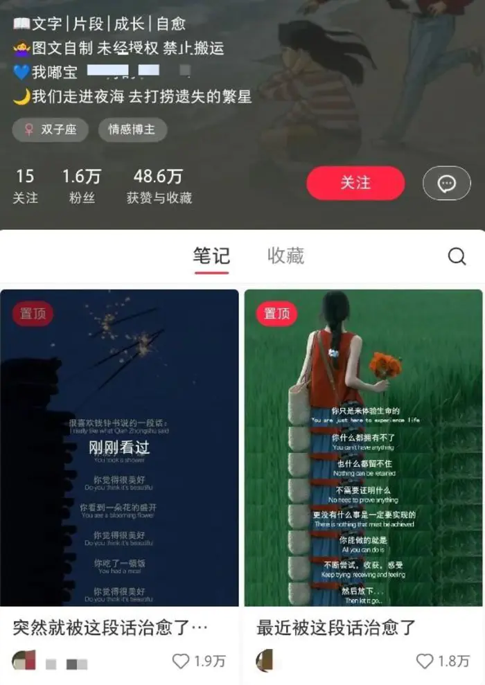图片[2]-小红书治愈文案图文笔记，零门槛，一分钟制作轻松制作爆款作品月入万元-副业库