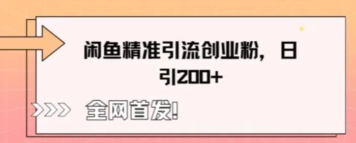闲鱼精准引流创业粉，轻松日引200+-副业库