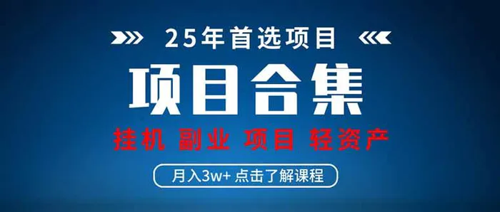 （14175期）2025 实操项目合集 挂机类型 直播类型 轻资产创业类型 课程分享各项目…-副业库