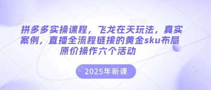 拼多多实操课程，飞龙在天玩法，真实案例，直播全流程链接的黄金sku布局原价操作六个活动-副业库