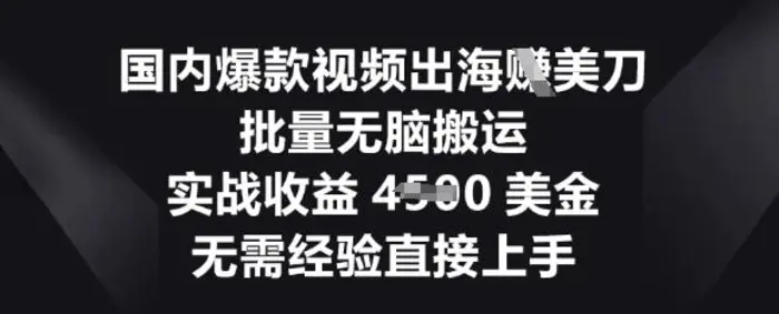 国内爆款视频出海挣美刀，批量无脑搬运，实战收益4.5k，无需经验直接上手-副业库