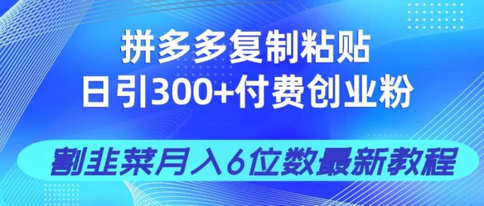 （14232期）拼多多复制粘贴日引300+付费创业粉，割韭菜月入6位数最新教程！-副业库