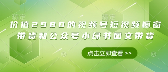 价值2980的视频号短视频橱窗带货和公众号小绿书图文带货-副业库