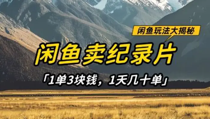 闲鱼卖纪录片1单3块钱，1天几十单，项目稳定有潜力-副业库
