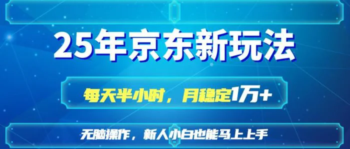 （14309期）25京东新玩法，每天半小时，月稳定1W+-副业库